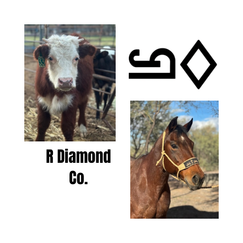 R Diamond Co